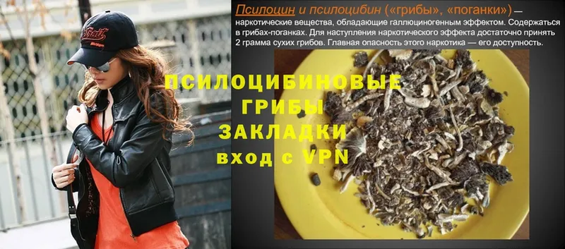 Псилоцибиновые грибы GOLDEN TEACHER  Алапаевск 